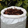 Spruce Bark Mulch