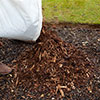 Spruce Bark Mulch
