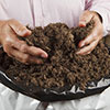 Premium Professional Compost 110 Litre Bundle Premium Professional Compost 110 Litre Bundle
