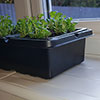 Pack of 3 Windowsill Propagator Kits