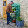 Four Tier Greenhouse Four Tier Greenhouse