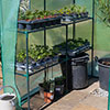 Walk In Greenhouse Walk In Greenhouse