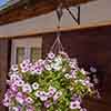 Pair of Hi-Lo Hanging Basket Raisers