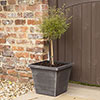 Classic Estate Square Planter