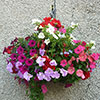 Pair of 15 Easy Fill Hanging baskets Pair of 15 Easy Fill Hanging baskets