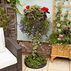 The Easy Fill Hanging Basket Pedestal Planter The Easy Fill Hanging Basket Pedestal Planter