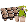 Skelly Tray x 3 and 36 Jiffy Bio Pots