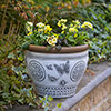 White Papilio Planters White Papilio Planters
