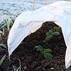 Frost Protection Fleece Roll 15m x 1m