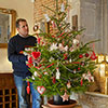 Potted Norway Spruce Christmas Tree