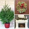 Christmas in a Box - Tree, Wreath & Garland