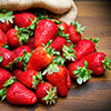 Everbearer Strawberry Sweet Summer