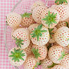 Strawberry Pineberry