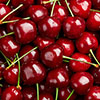 Patio Cherry Piemont Tree