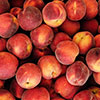 Patio Peach Honey Red Tree Patio Peach Honey Red Tree