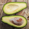 Avocado Tree Hass