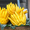 Citrus Buddhas Hand Citrus Buddhas Hand