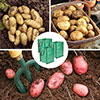 Patio Potato GrowPod Growing Selection