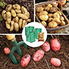 Complete Patio Potato Growing Selection
