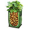 Complete Patio Potato Growing Selection