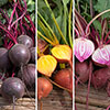 Beetroot Rainbow