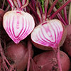 Beetroot Rainbow
