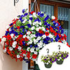Pre-Planted Patriotic Mix Hanging Baskets