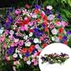 Pre-Planted Petunia Wave Mix Hanging Baskets