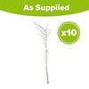 Blackthorn Hedge Prunus spinosa Pack of 10 Bare Roots 60/90cm Blackthorn Hedge Prunus spinosa Pack of 10 Bare Roots 60/90cm