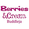 Buddleia Berries and Cream