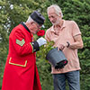 Rose Chelsea Pensioner Rose Chelsea Pensioner