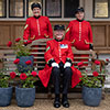 Rose Chelsea Pensioner