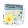 Water Lily Planting Kit - Yellow