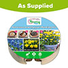 Blooming Fast Drop In Bulb Planter Narcissus and Muscari Kit