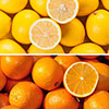 Orange & Lemon Collection with Feed