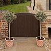 Pair of Olive Tree Standards