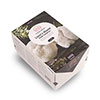Lions Mane Mushroom Grow Kit Lions Mane Mushroom Grow Kit