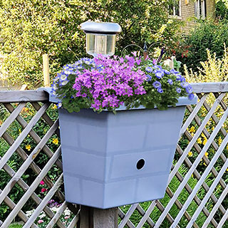 Revolutionary 3-in-1 Planter, Birdbox and Solar Light - Forest Green