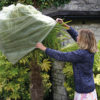 Giant Fleece Plant Cosies