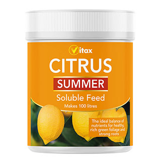 Citrus Summer Soluble Feed 200g