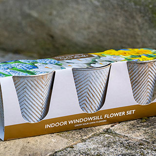 Indoor Windowsill Flower Set