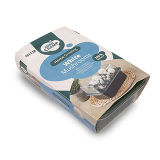 White Mushroom Grow Kit