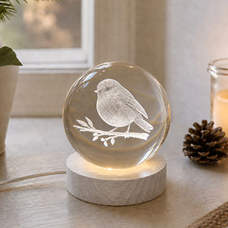 InLit GloBall Robin, Indoor Glass Christmas Table Light
