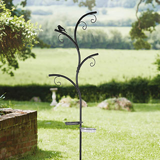 Wild Wings Dining Station