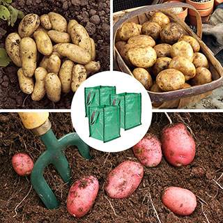 Patio Potato GrowPod Growing Selection