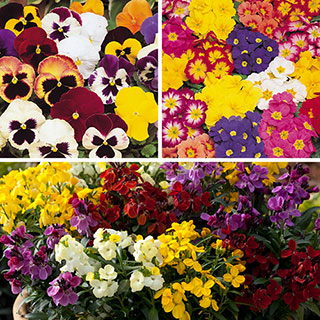 The Ultimate Winter Garden Ready Bedding Collection