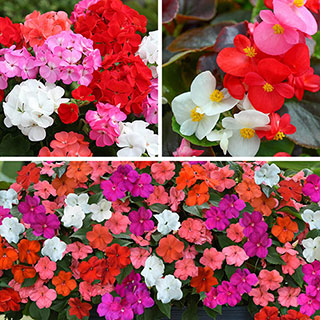 Ultimate Bedding Display Collection