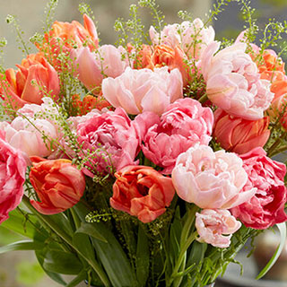 Tulip Double Flowering Mixed Bouquet