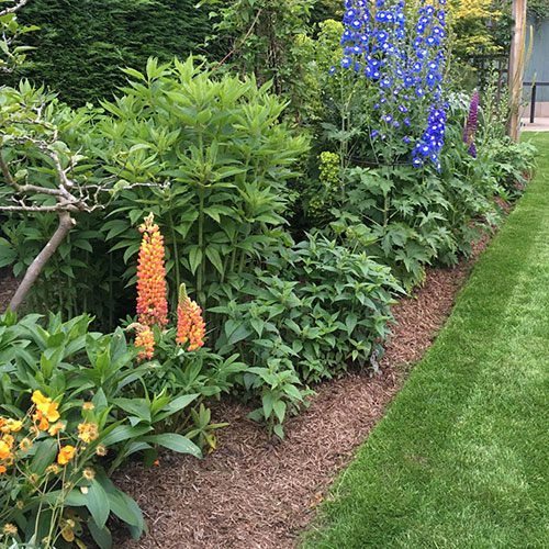 Strulch Mineralised Straw Garden Mulch Strulch Mineralised Straw Garden Mulch