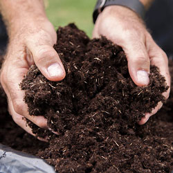 Premium Professional Compost 110 Litre Bundle Premium Professional Compost 110 Litre Bundle